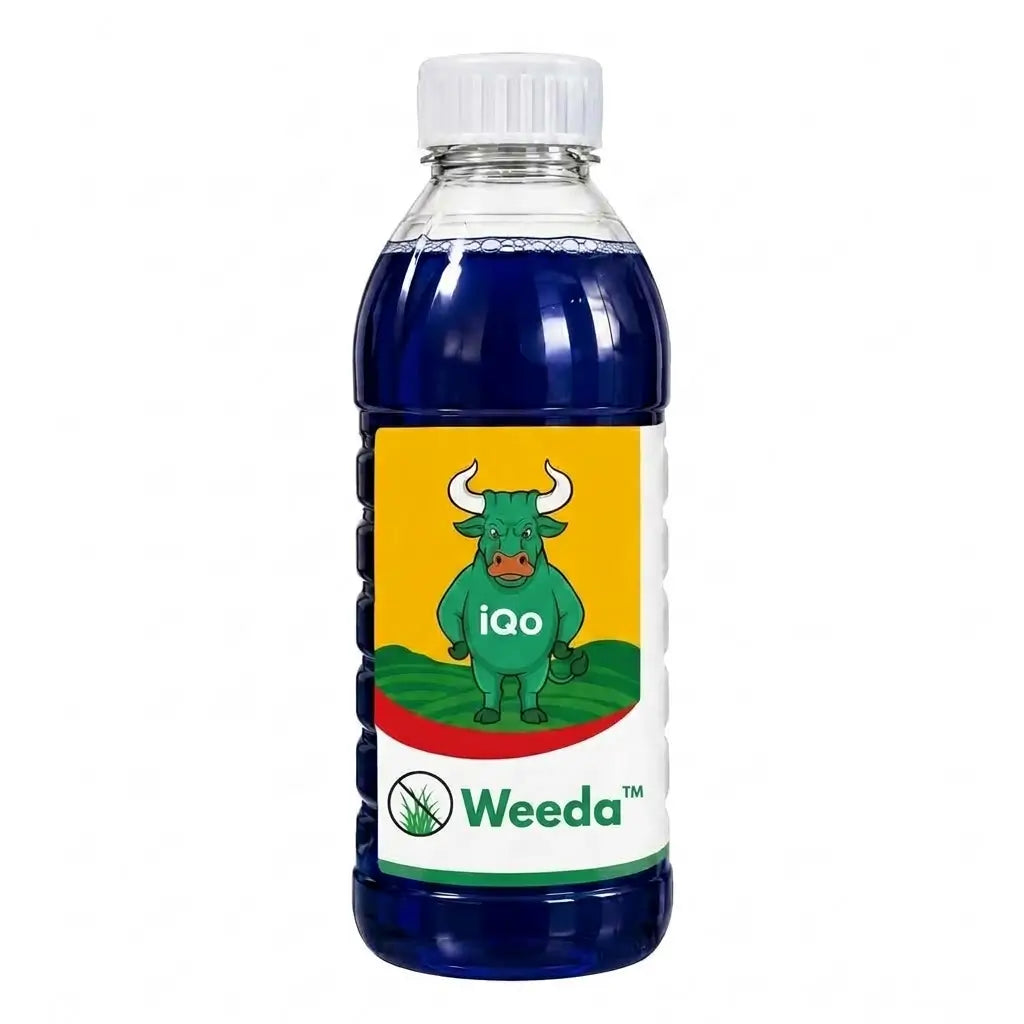 Weeda