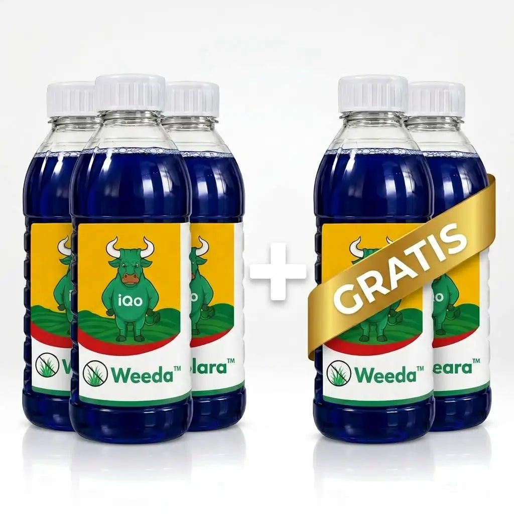 Weeda