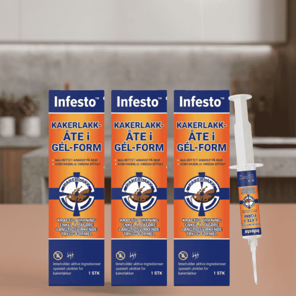 Infesto